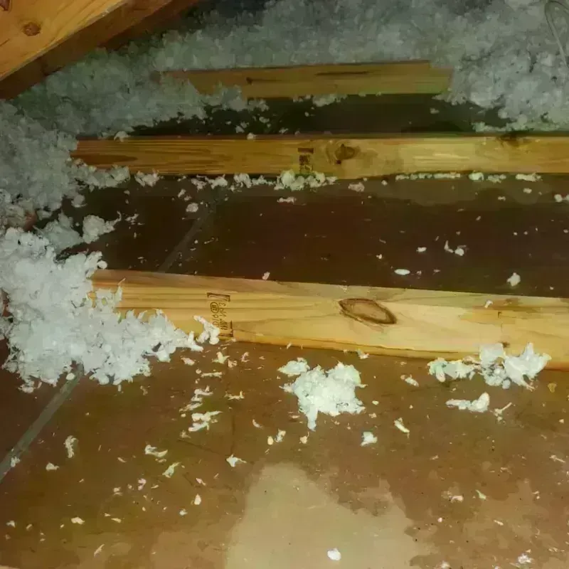 Attic Water Damage in Crystal Lawns, IL